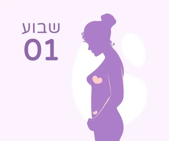 שבוע 1 להריון